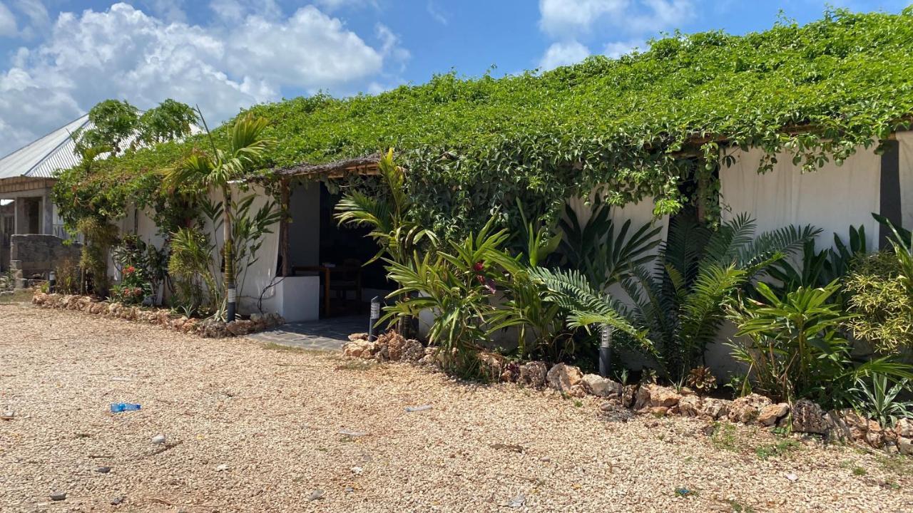 Cactus Zanzibar Мини-отель *