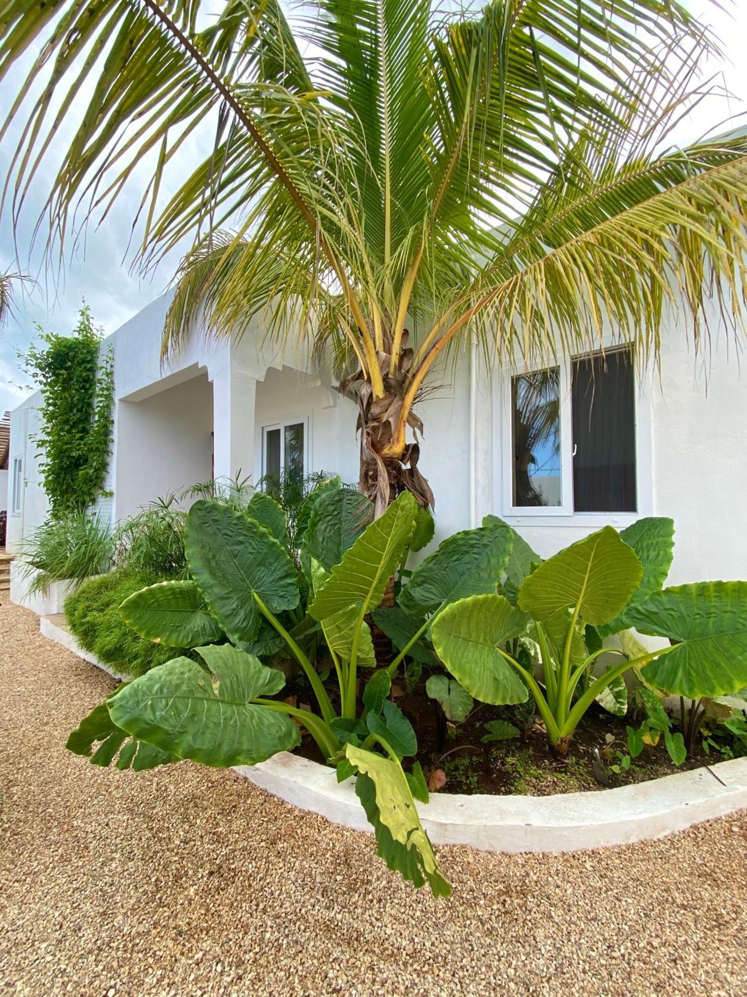 Cactus Zanzibar Мини-отель *