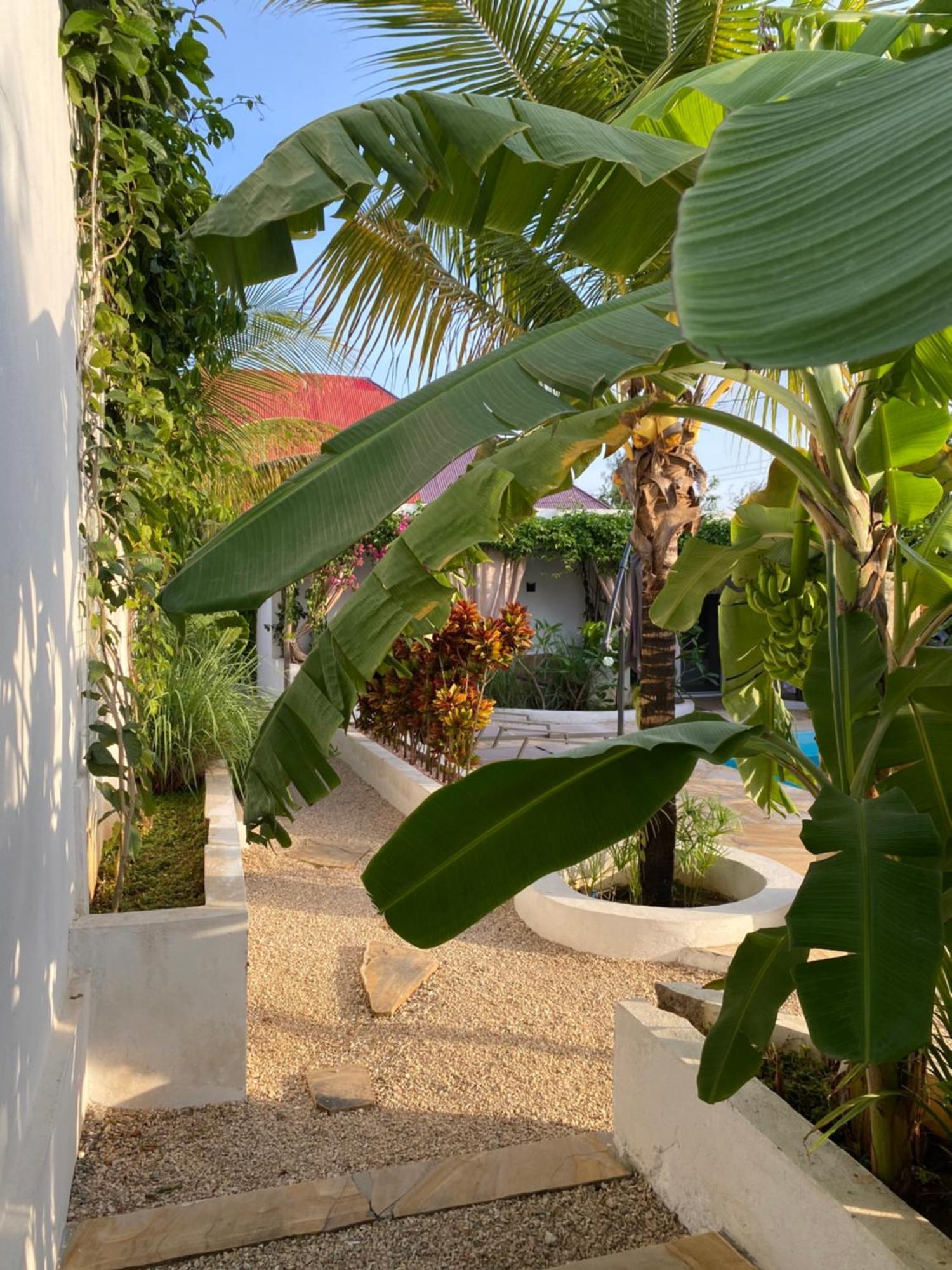 Cactus Zanzibar Мини-отель *